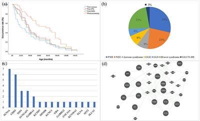 Genetic and phenotypic spectrum of Chinese patients with epilepsy and photosensitivity